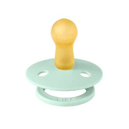 Colour Pacifier - Cactus