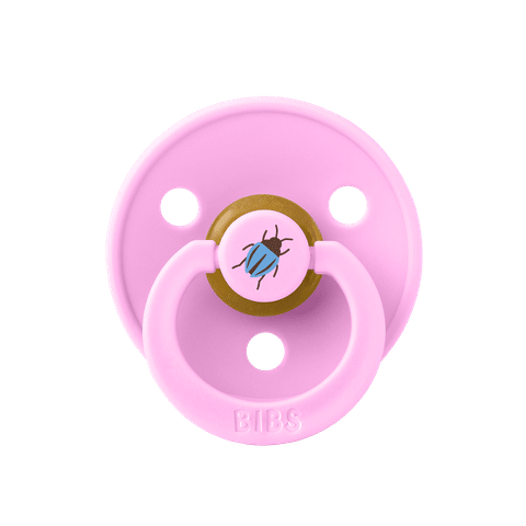 STUDIO Colour Beetle - Ballet - Bulk