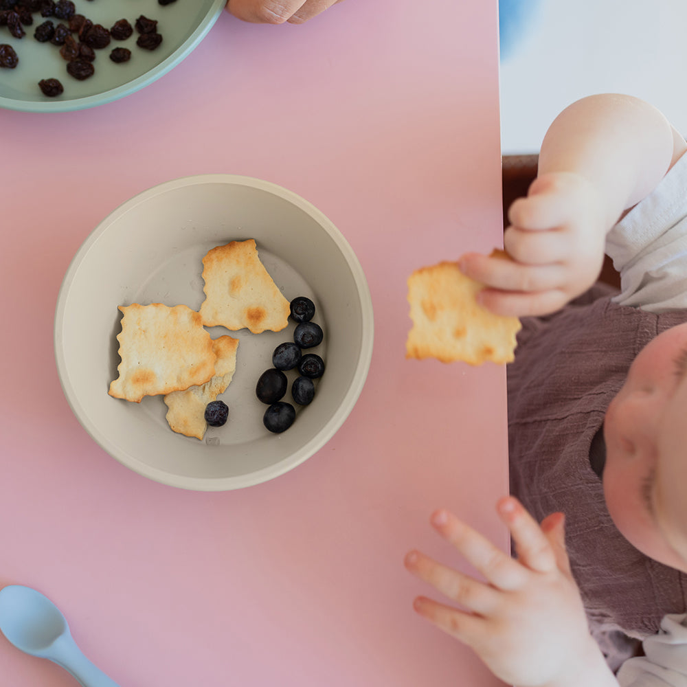 Dinner Plate Set Sage